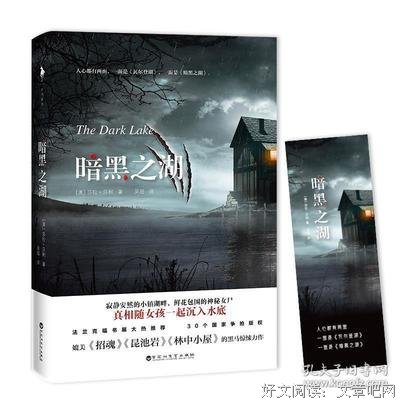 暗黑之湖读后感摘抄