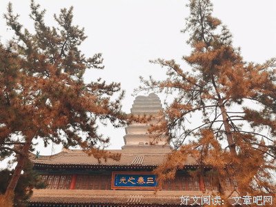 《南加州从来不下雨》读后感1000字