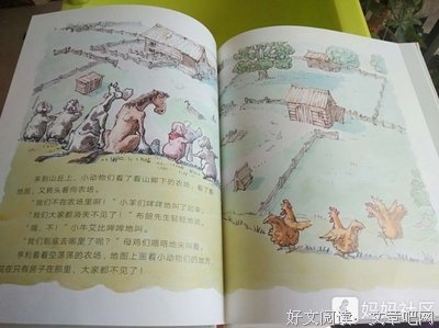 《共读绘本的一年》读后感精选