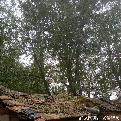 墨忘名句欣赏