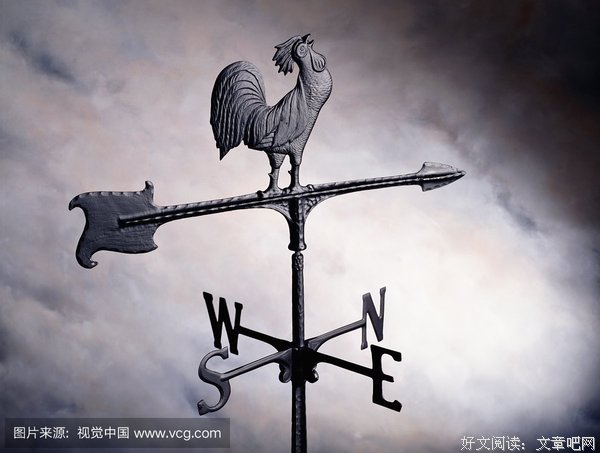 不东的读后感大全