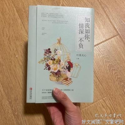 《知我如你，情深不负》读后感锦集