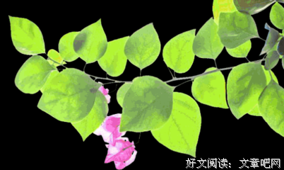 《故事课2：好故事可以收服人心》读后感精选
