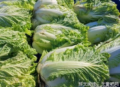 关于天寒地冻名言名句