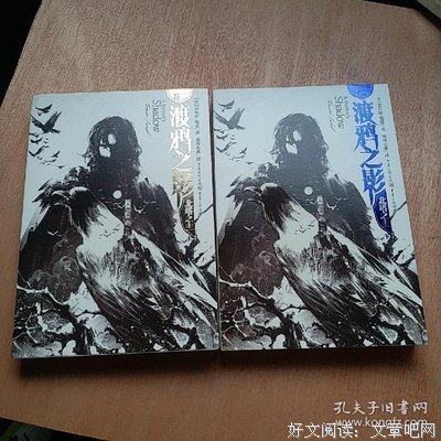 渡鸦之影Ⅲ读后感1000字