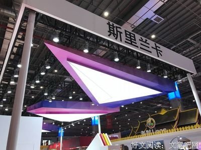 《异形入侵》的观后感大全
