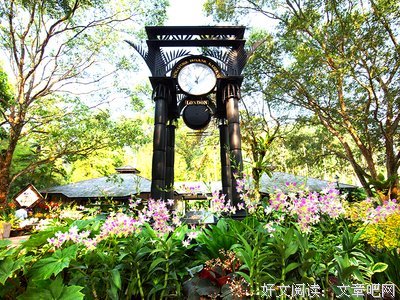 《植物园》读后感精选