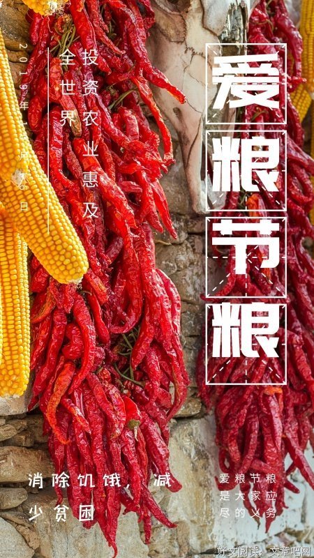 在这个世界上是什么意思读后感锦集