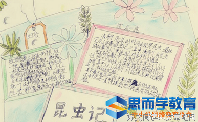 《麻雀与凤凰的战争》读后感锦集