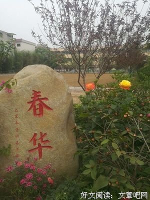 《成为智慧型家长》读后感锦集