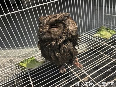 《物西吃他来零开远开的异用的物西吃他生然发个》的句子