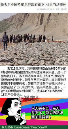 领头羊经典名句