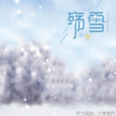 关于殇雪的句子