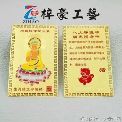 关于藏密的句子