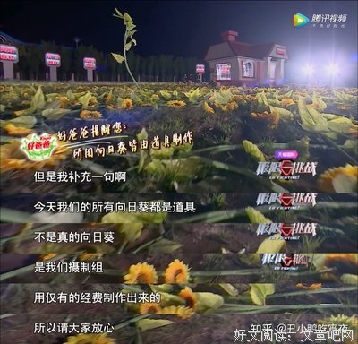 有关在？的句子