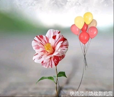 关于坚强的句子