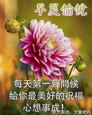 《怪兽》的句子