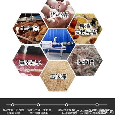 最经典的石成金的名言名句