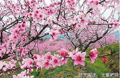 2019禾晏山名言大全