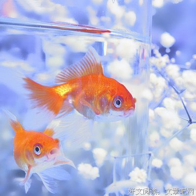秦羽墨的名言名句