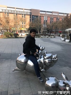 《便所爱情故事》经典观后感1000字