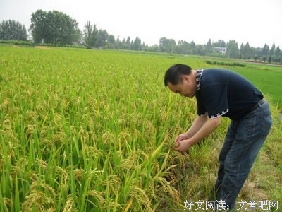 《安吉里卡奇遇》影评摘抄