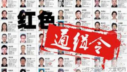 《非法入境》的观后感大全