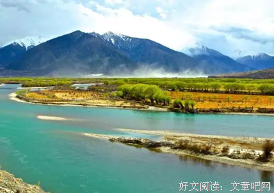 关于一厢情愿的语句