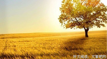 段子经典的句子