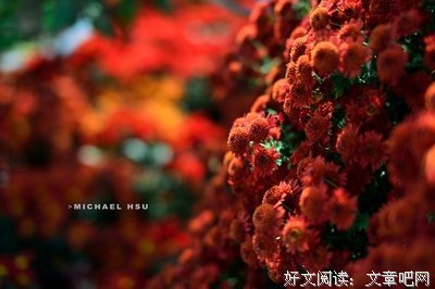 心若猛虎句子