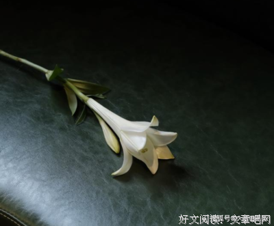 心情微语