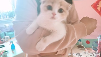 “我在闲鱼上花了9.9元，请人给我的颜值打分”