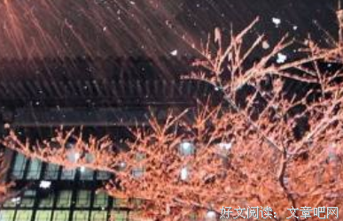 关于童可可的名言