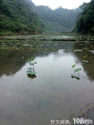 《爱之伤痕》影评精选