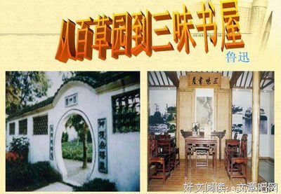 《深夜书房》的读后感大全