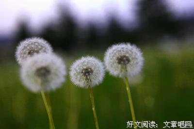 关于慌乱名言名句