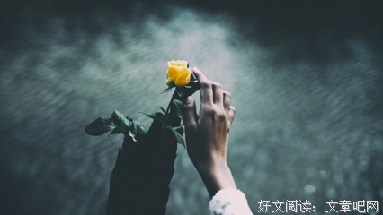 致我们所钟意的黄油小饼干读后感精选