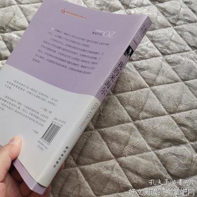 我的米海尔读后感精选