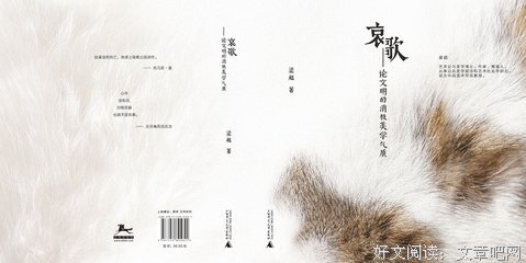 《哀歌：论文明的消极美学气质》读后感锦集