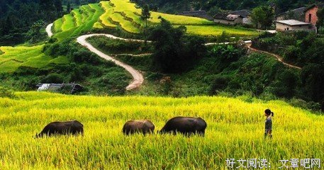 万物有时的读后感大全