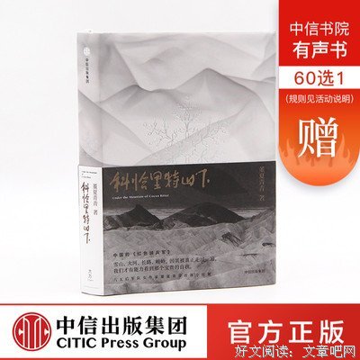《科恰里特山下》读后感100字