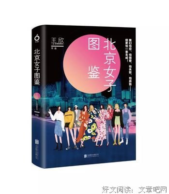 《北京女子图鉴》的读后感大全