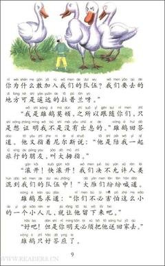 《过境之鸟》经典读后感有感