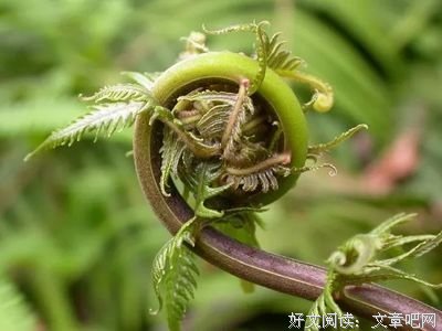 八山的读后感大全