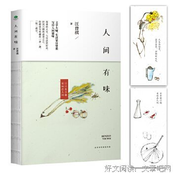 生活家：汪曾祺自选散文集读后感锦集