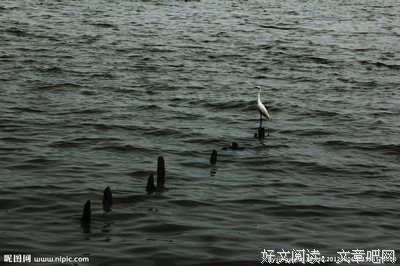 关于孤独的句子
