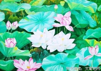 宁静致远条西句子大全