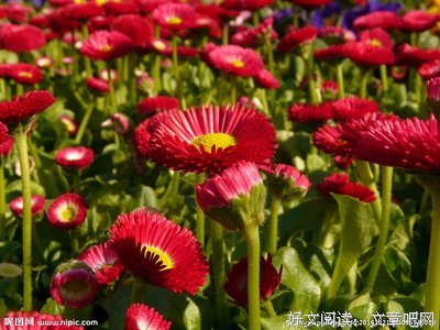 电影电视优美的句子