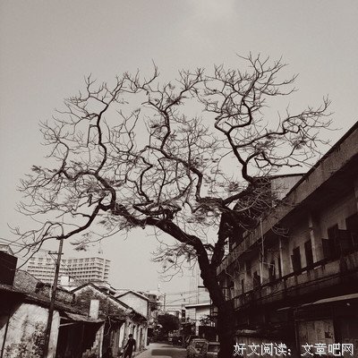 西过季的句子