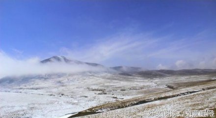 耳朵鱼的名言